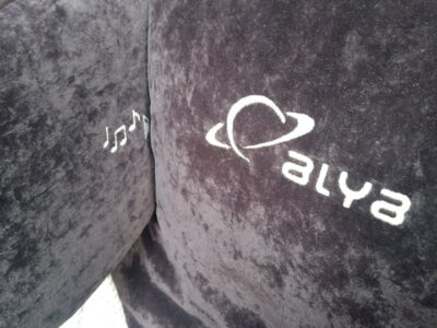 Siège enfant RECARO aux-in alya